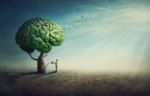 Reunión Nacional de Psiquiatría y Neurología Avanzando en Depresión 2024: Haciendo posible lo imposible