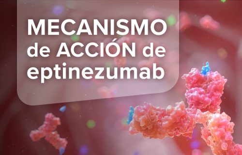 Video Mecanismo de acción Vyepti®